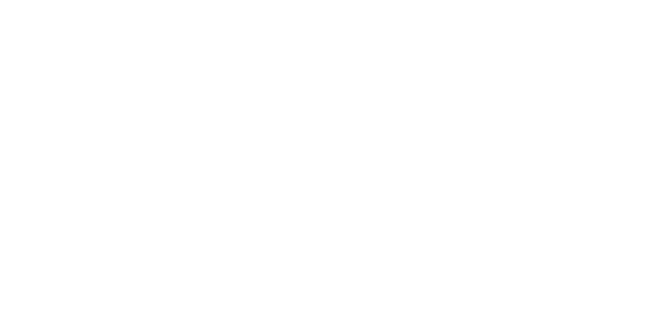 Cardiovascular Institute of New England